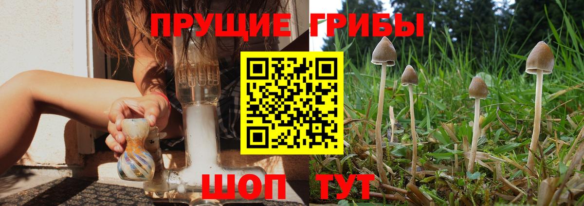 Аргун  Галлюциногенные грибы мицелий  Вход с VPN 